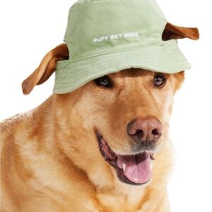 🆕 Green Corduroy “Puff Pet Pass” Bucket Hat 🍃